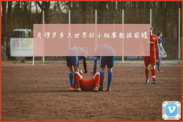 肖穆罗多夫世界杯小组赛数据前瞻