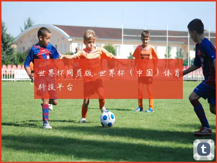 世界杯网页版_世界杯（中国）体育科技平台