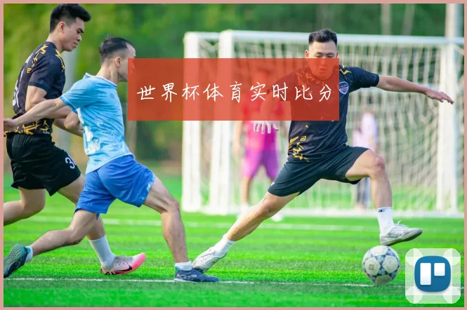 世界杯体育实时比分