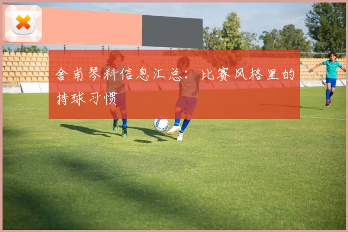 舍甫琴科信息汇总：比赛风格里的持球习惯